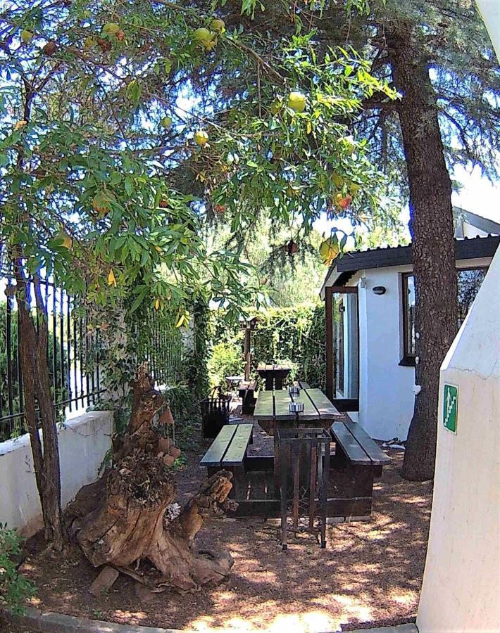 Kuru-Kuru Guesthouse Kuruman Ngoại thất bức ảnh
